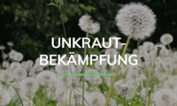 Wir sind Ihr Ansprechpartner für Unkrautbekämpfung und Gartenpflege in Dietzenbach